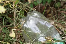 A plastic bottle containing non-degradable nanoplastics abandoned in the middle of the green grass. Photo.